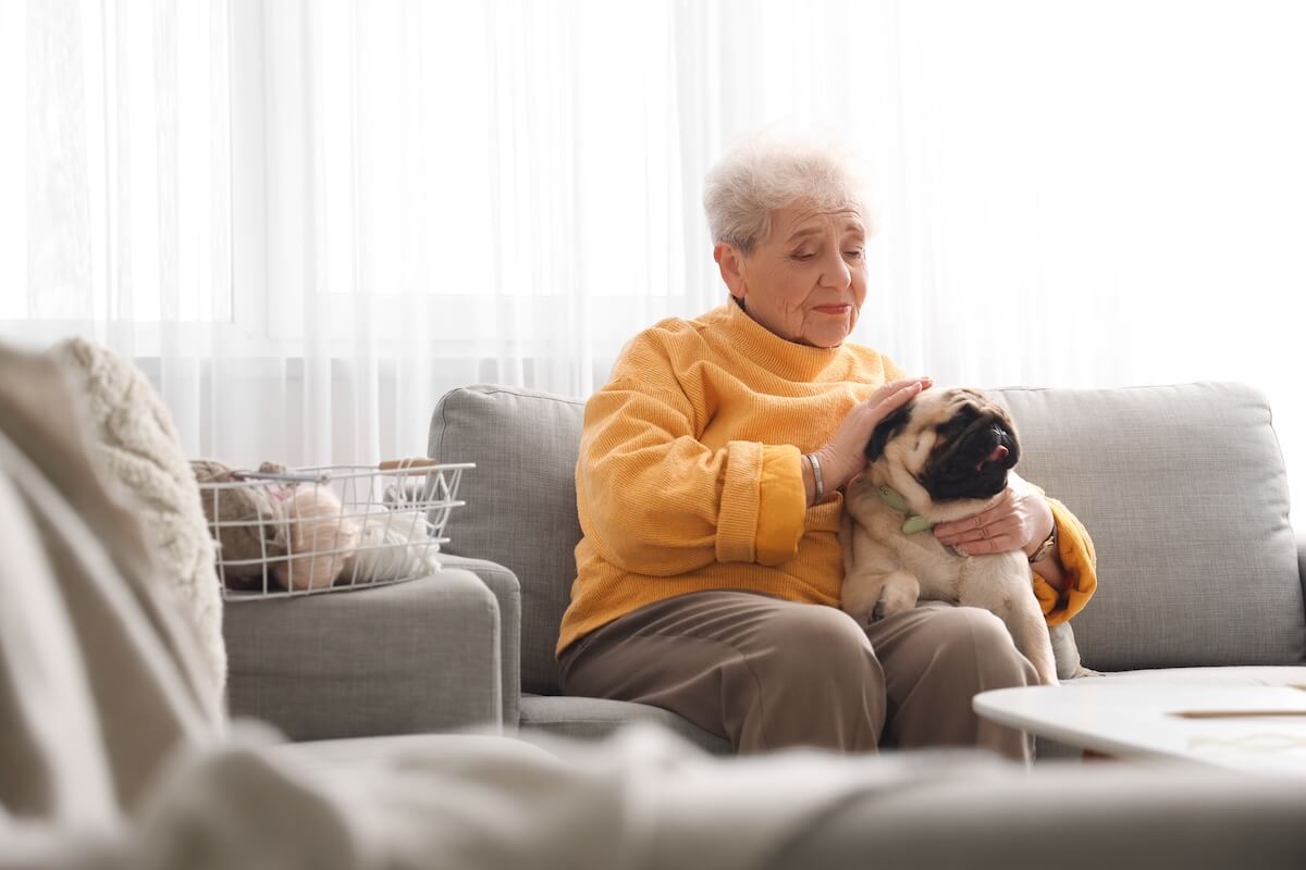 An adult woman petting a puppy at home
