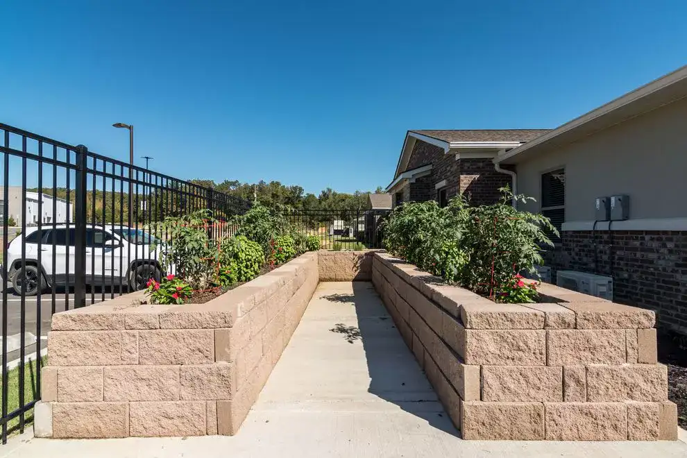 veggie garden